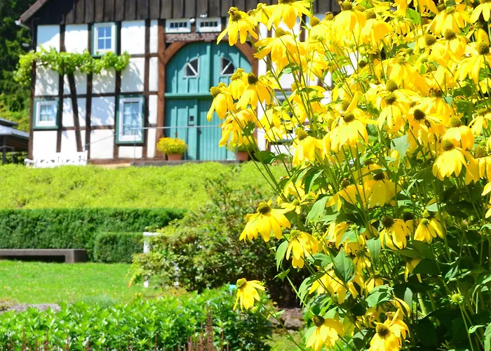 Hotel Légère Express